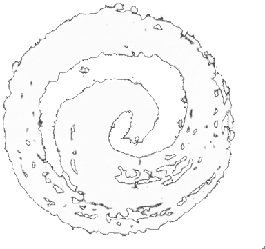 Shen Wu Academy